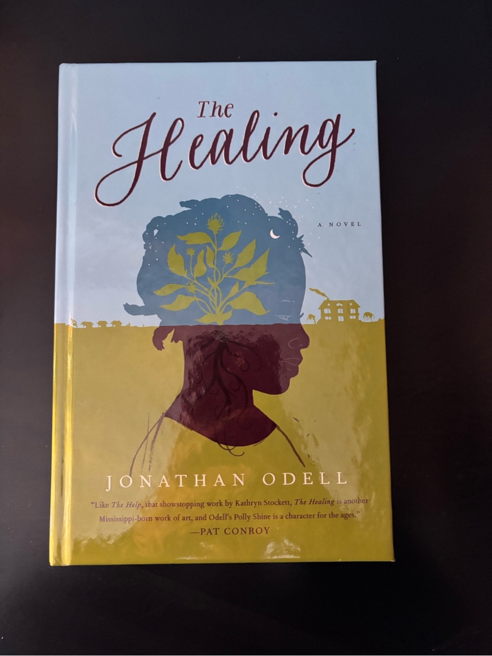 Jonathan Odell The Healing Hardcover - Blue, Yellow, Maroon
